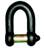 Straight Shackle